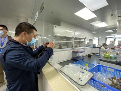 信息技術咨詢服務為‘六穩六?！峁娭?，中國—東盟檢驗檢測認證高技術服務集聚區賦能企業騰飛